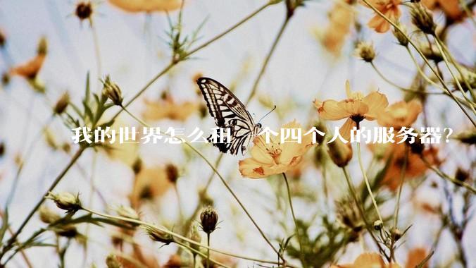 我的世界怎么租一个四个人的服务器？